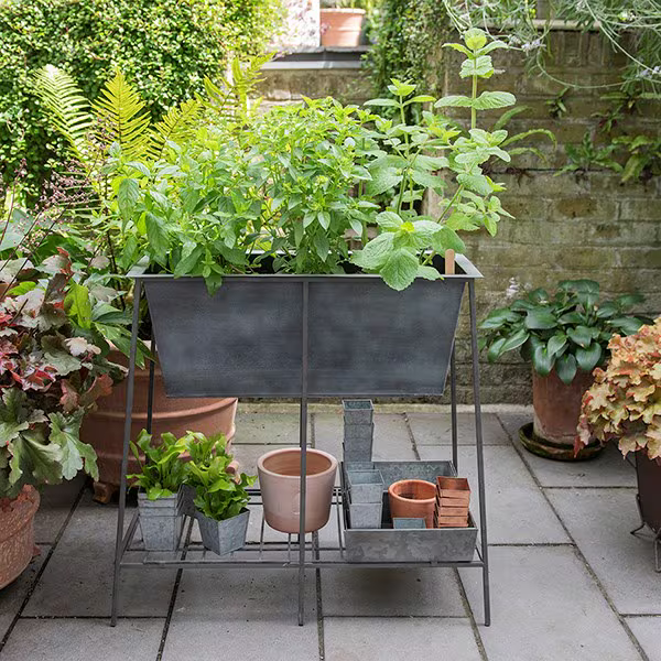 uploads/images/Trough With Pots