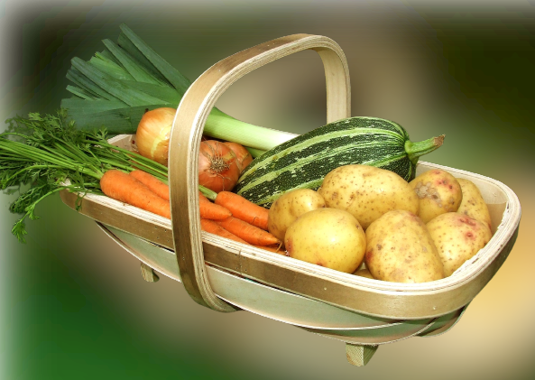 uploads/images/Trug_filled Removebg Preview