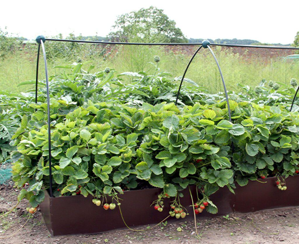 uploads/images/Raised Garden Bed EasyBed from EverEdge 2