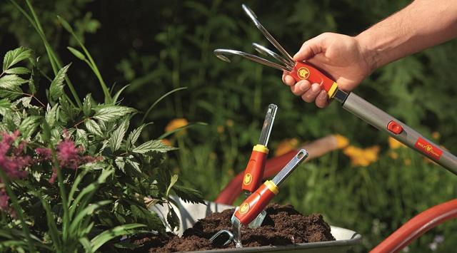 uploads/images/Untitled 4