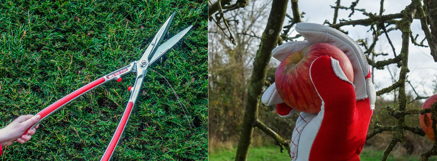 uploads/images/Untitled Design 1 6cb7fa39783c46ad97fbec8d46329b9f