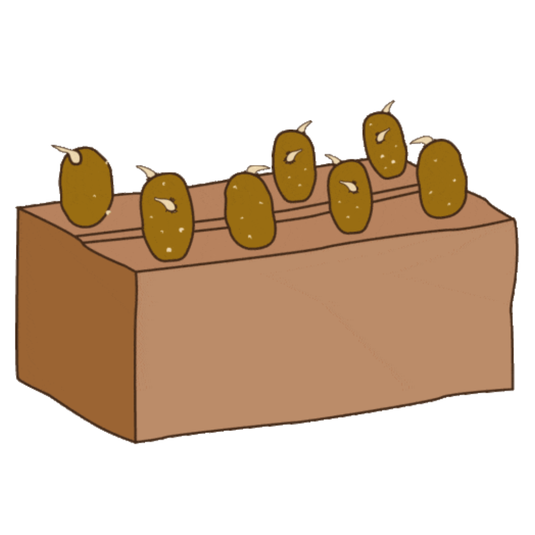 uploads/images/Untitled Design 12 F1a357369864a40f14b683fe58098153