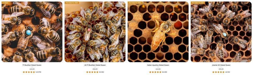 uploads/images/Untitled Design 16 1024x305