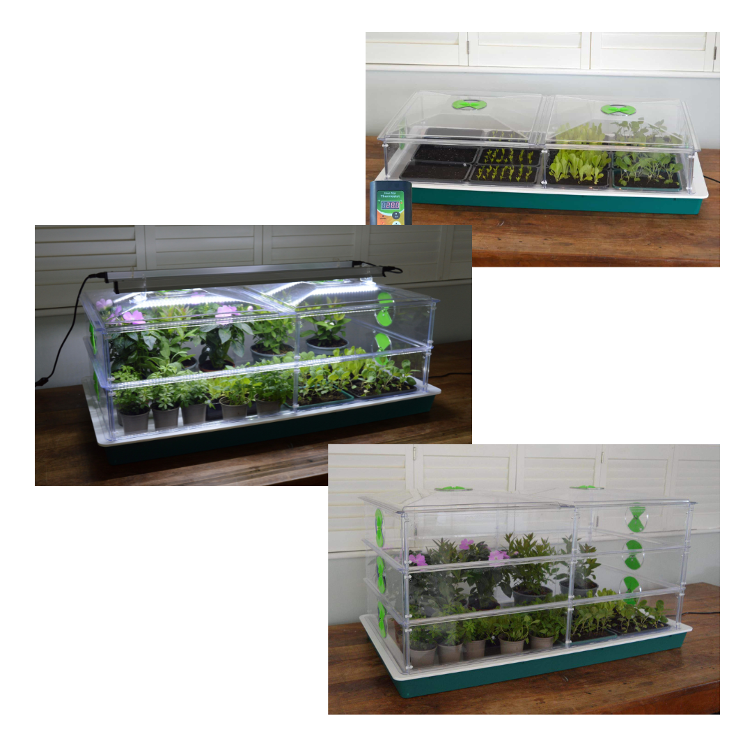 uploads/images/Untitled Design 16