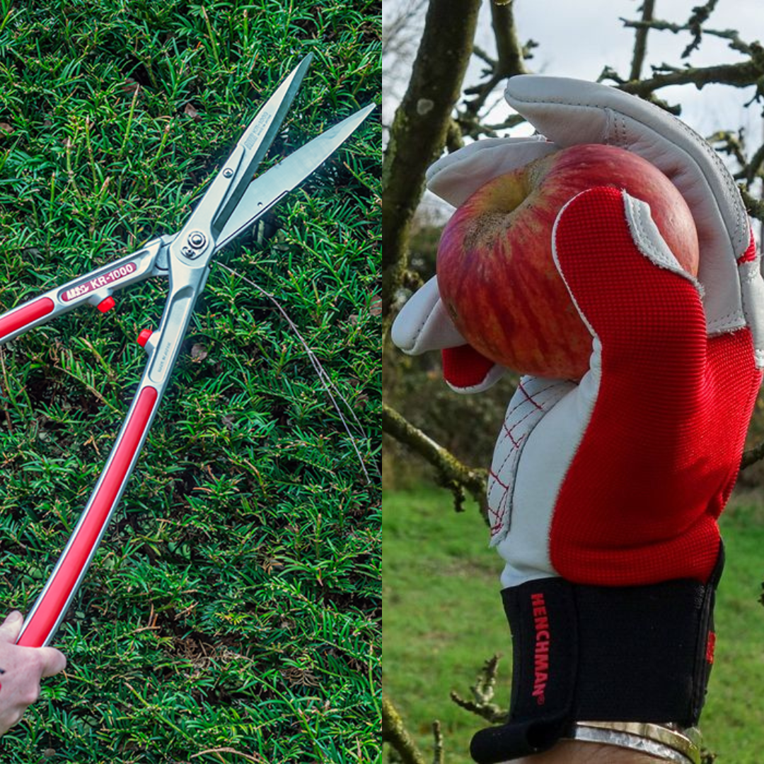 uploads/images/Untitled Design 2