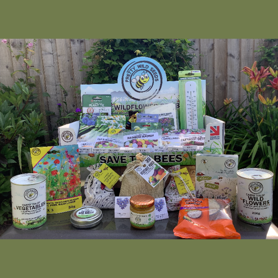 uploads/images/Untitled Design 21