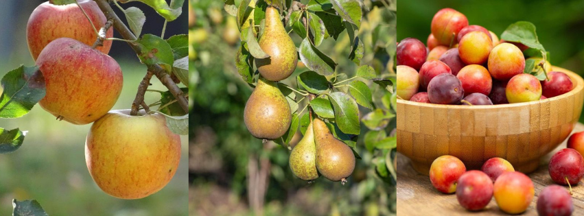 uploads/images/Untitled Design 3