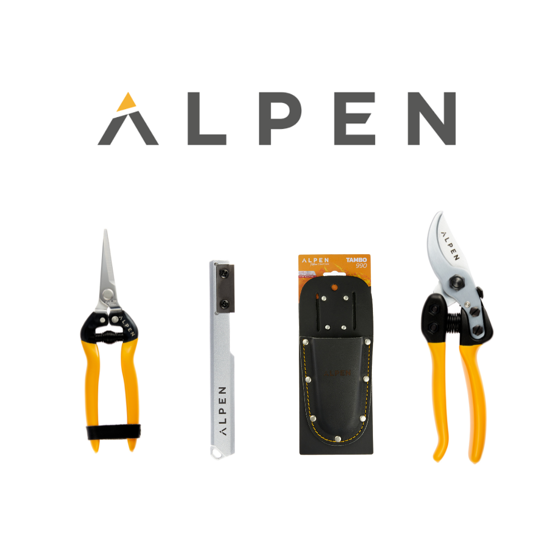 uploads/images/Untitled Design 6