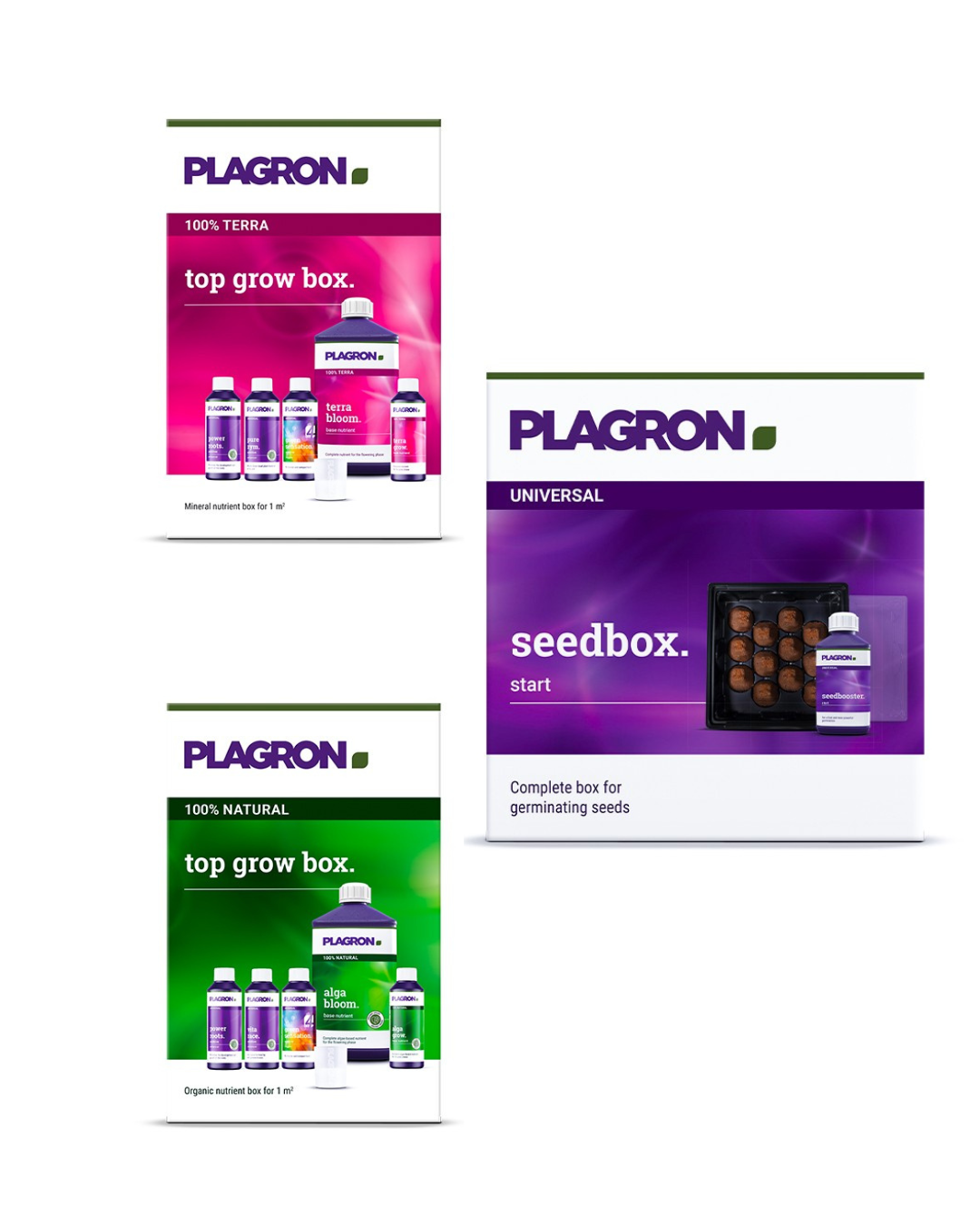 uploads/images/Untitled Design 8