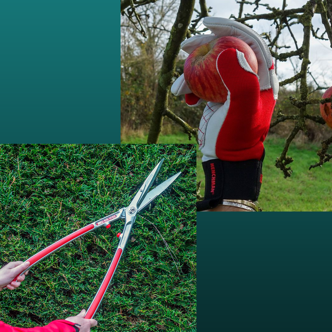 uploads/images/Untitled Design