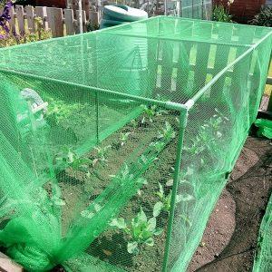 uploads/images/Vegetables Cages 300x300