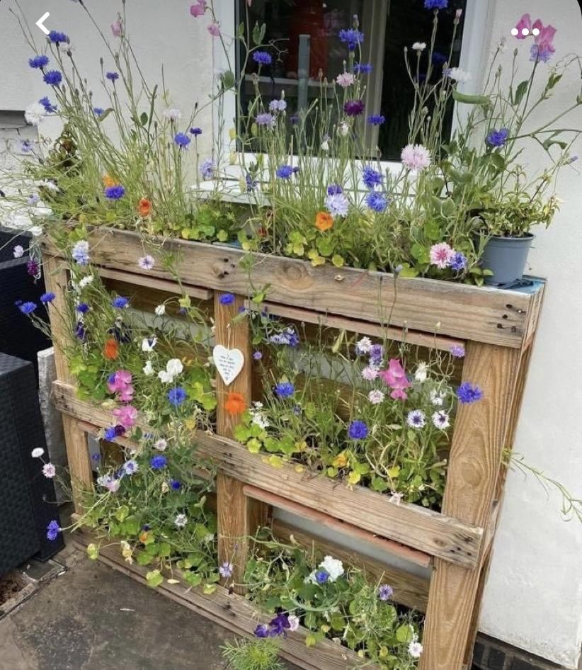 uploads/images/Vertical Wildflower Pallet Seedball