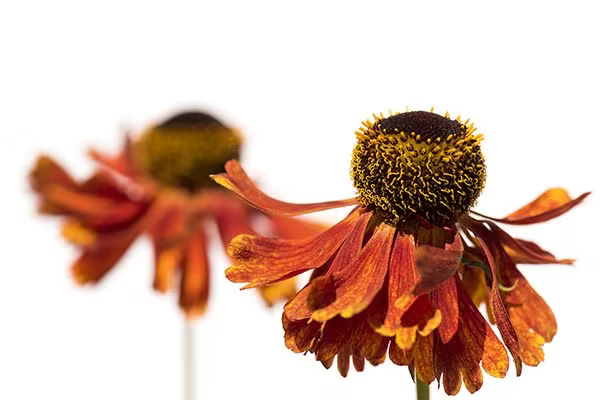 uploads/images/Voucher 600x400