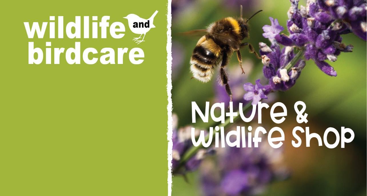 uploads/images/W and Bc Background