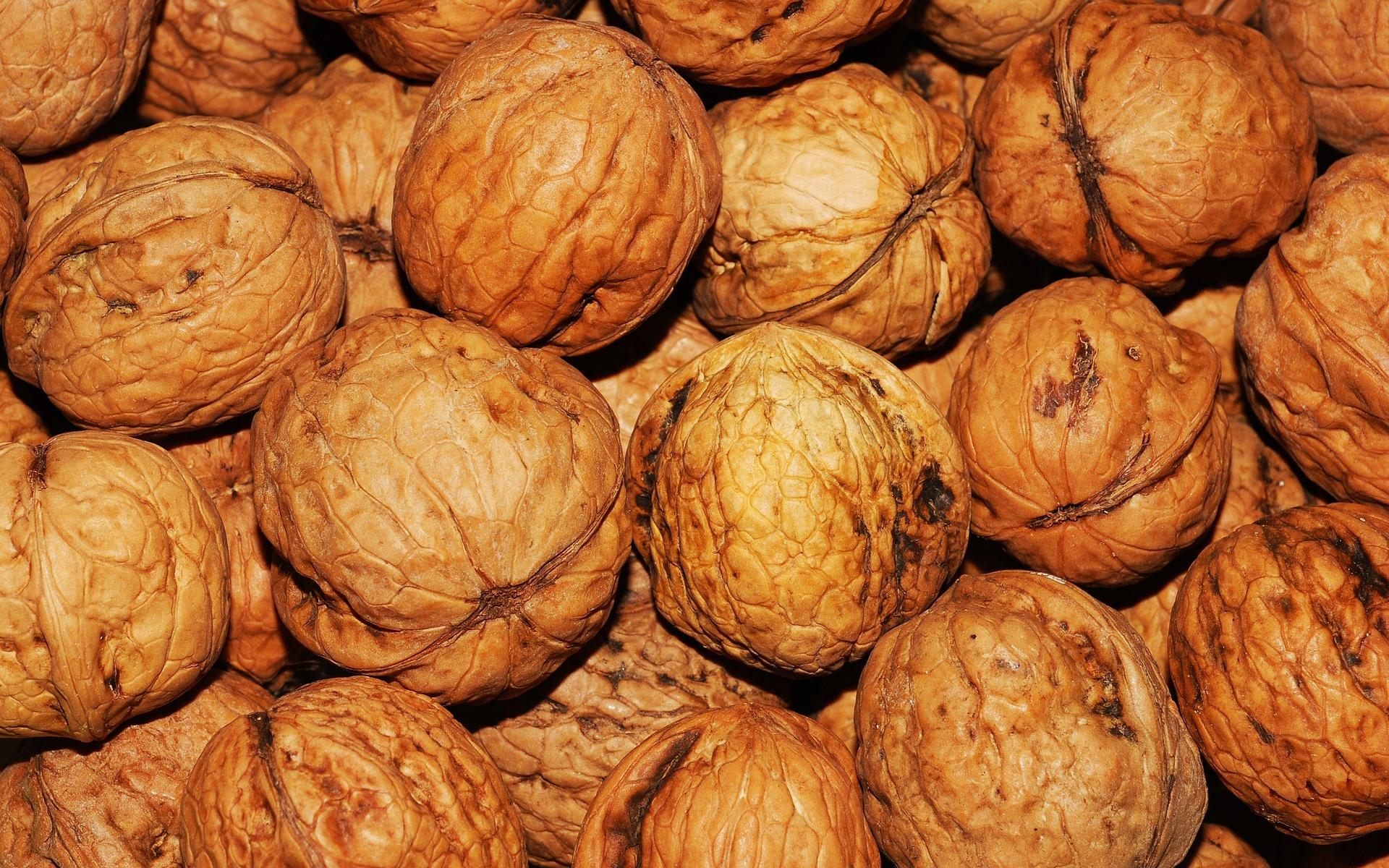uploads/images/Walnuts 101425_1920
