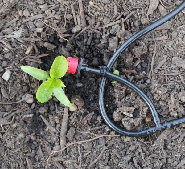 uploads/images/Watermate Dripper