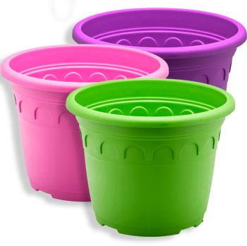 uploads/images/Webcat 000100040001000b00010006