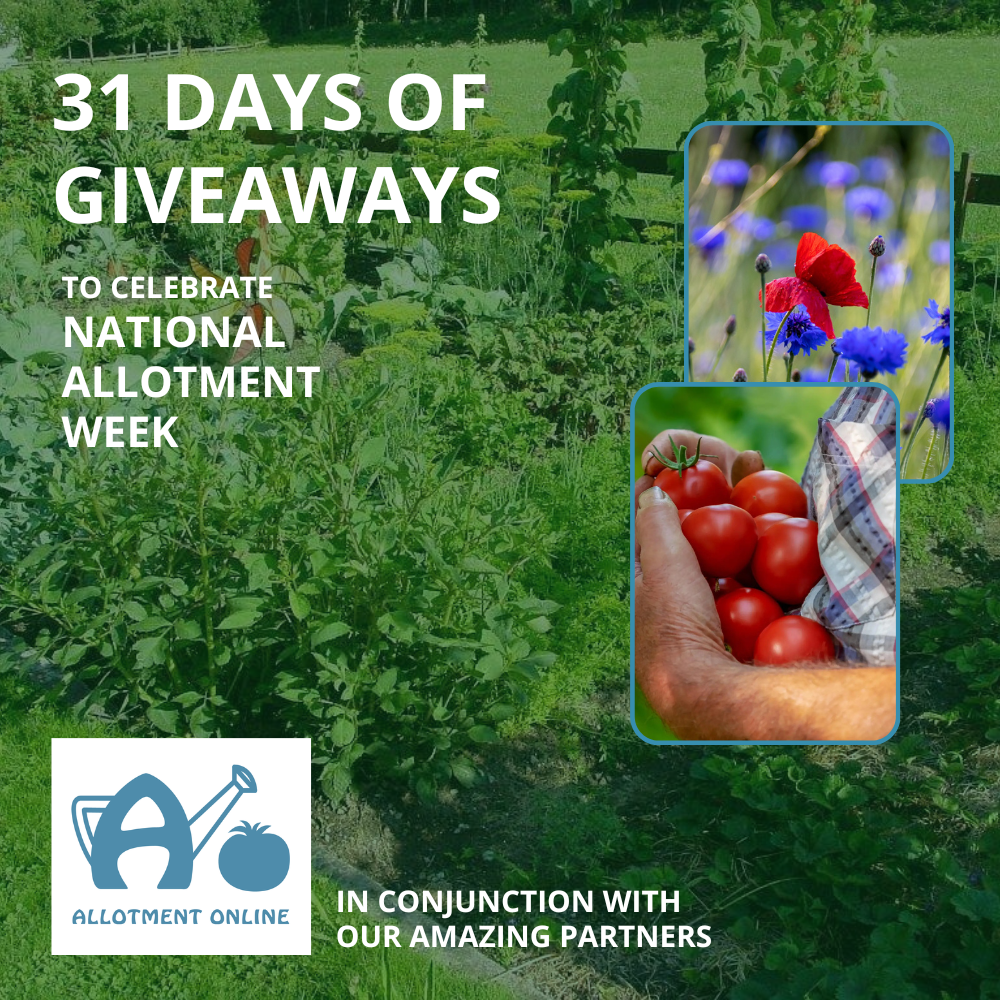 uploads/images/Website 31 Days of Giveaways