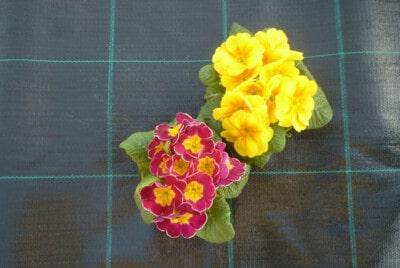 uploads/images/Weed Suppressing Matting 400x268