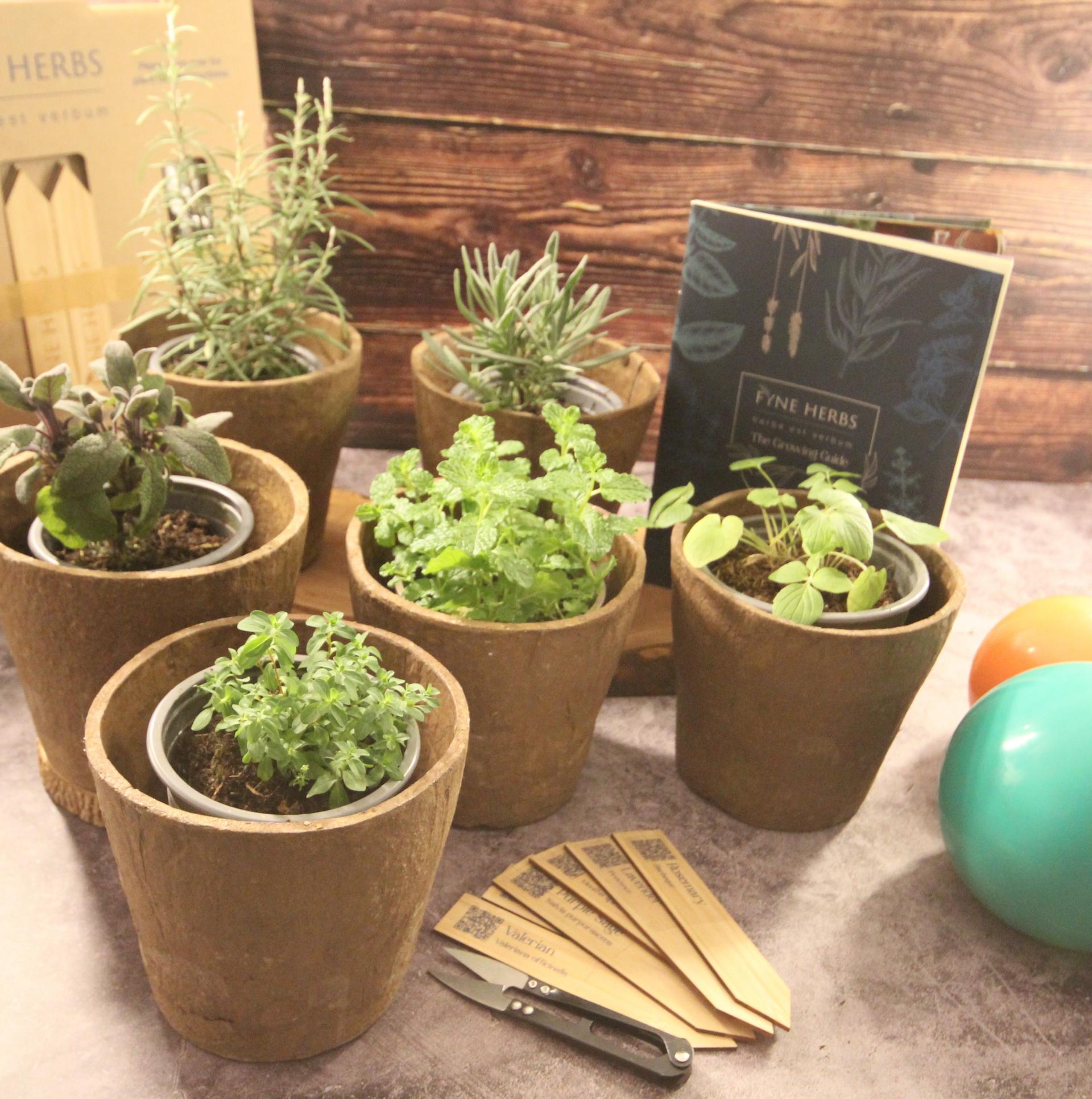 uploads/images/Well5