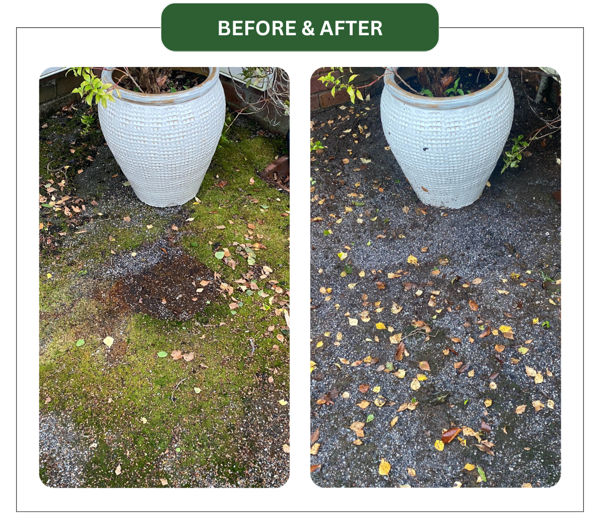 uploads/images/Wet and Walk 3