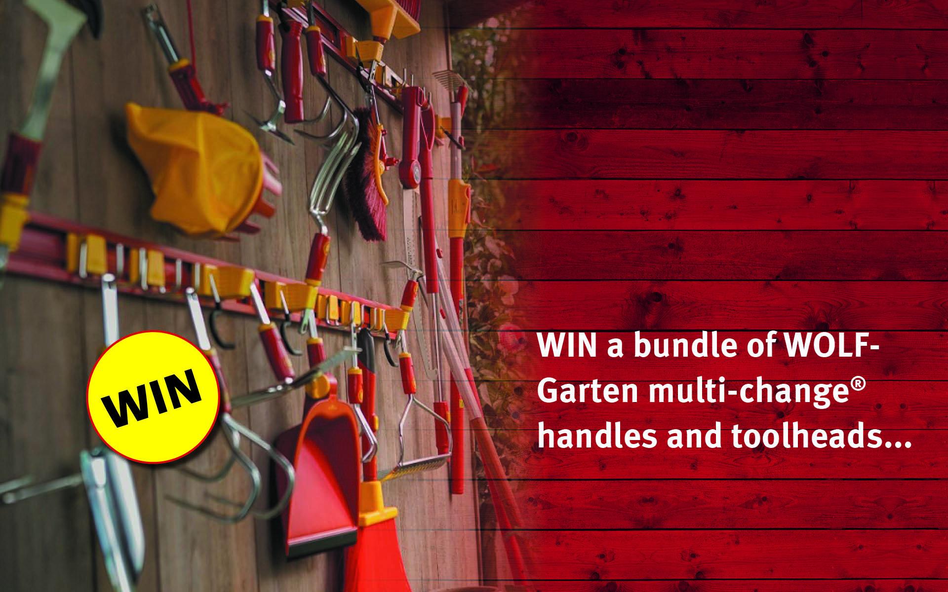 uploads/images/Wg_comp_post_banner 1 1