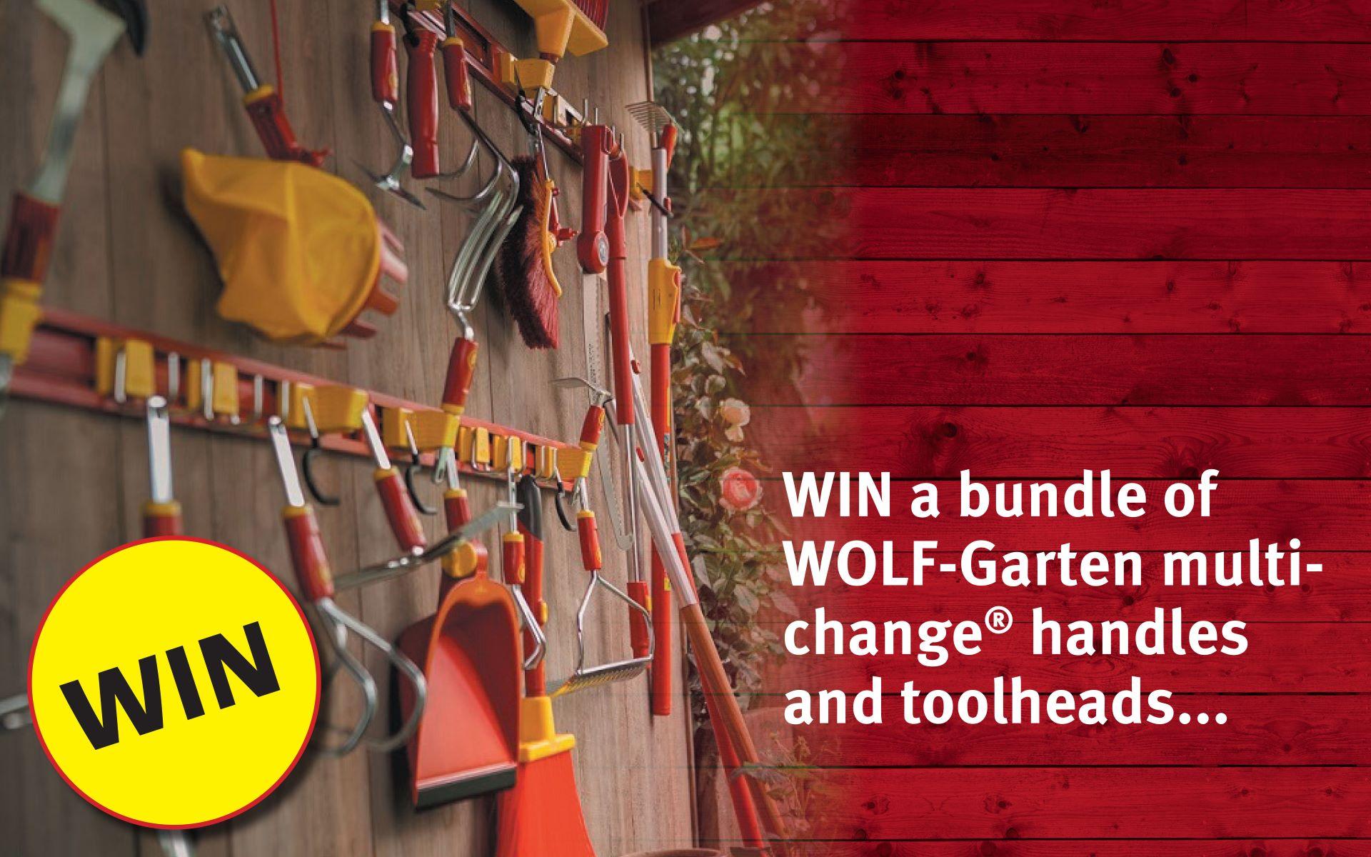 uploads/images/Wg_comp_post_banner 1 A9f33c630e61d3dea6347843e3275654