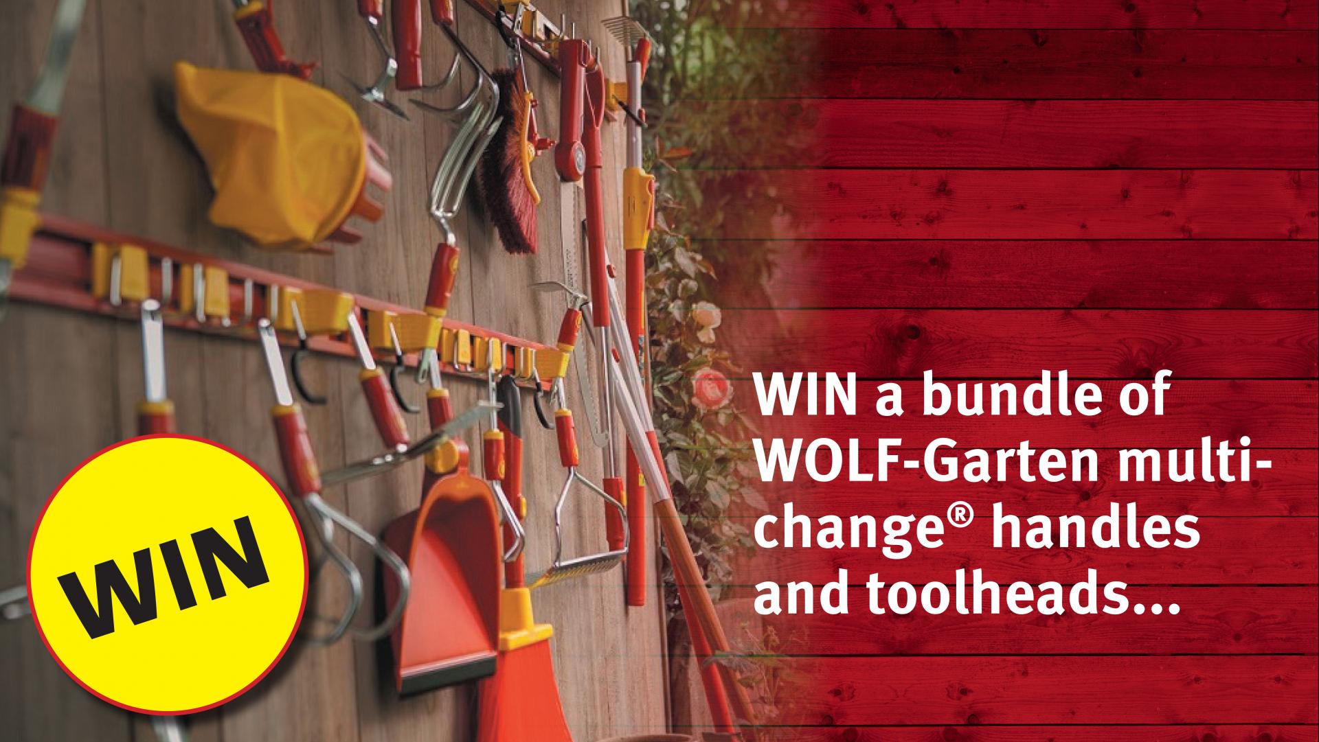 uploads/images/Wg_comp_post_banner 31