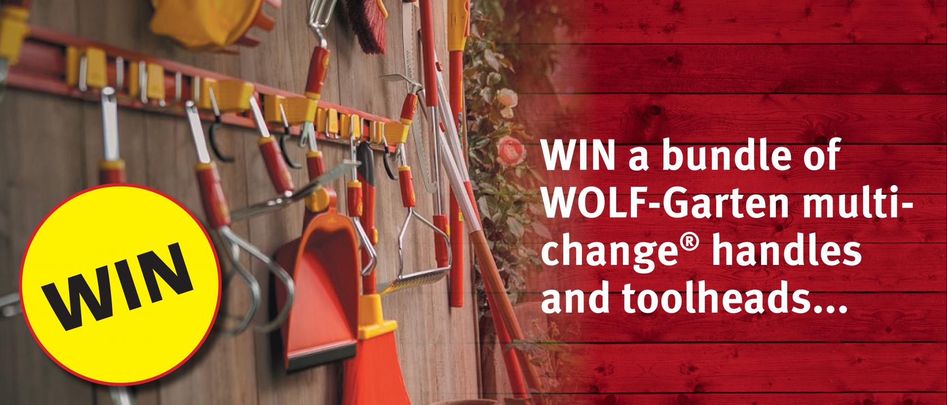 uploads/images/Wg_comp_post_banner 32