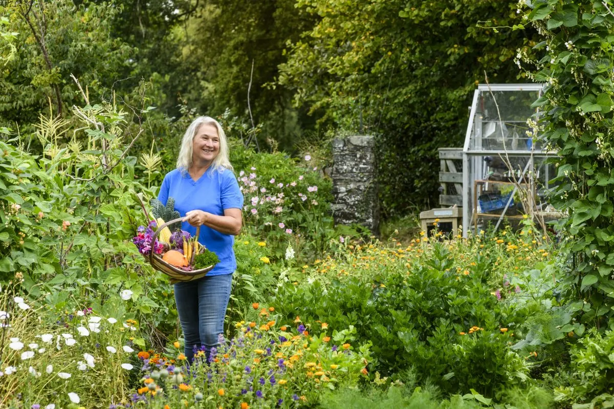 uploads/images/What You Can Expect E1671129440598