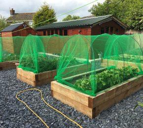 uploads/images/Who Left2 290x260