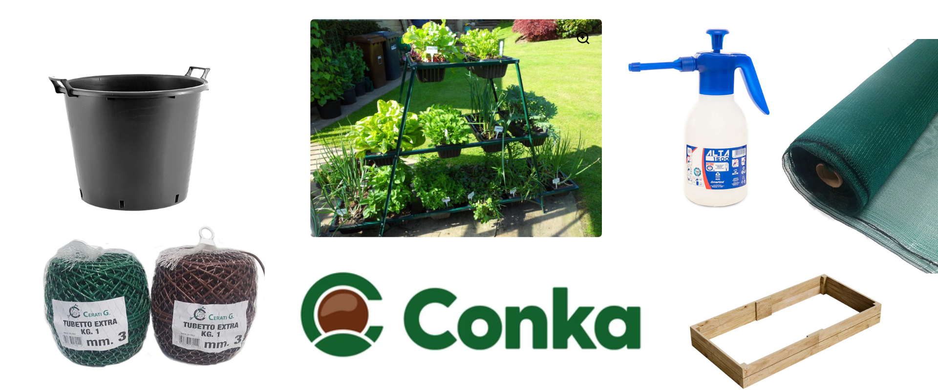 uploads/images/Wiggly Wigglers Header 1