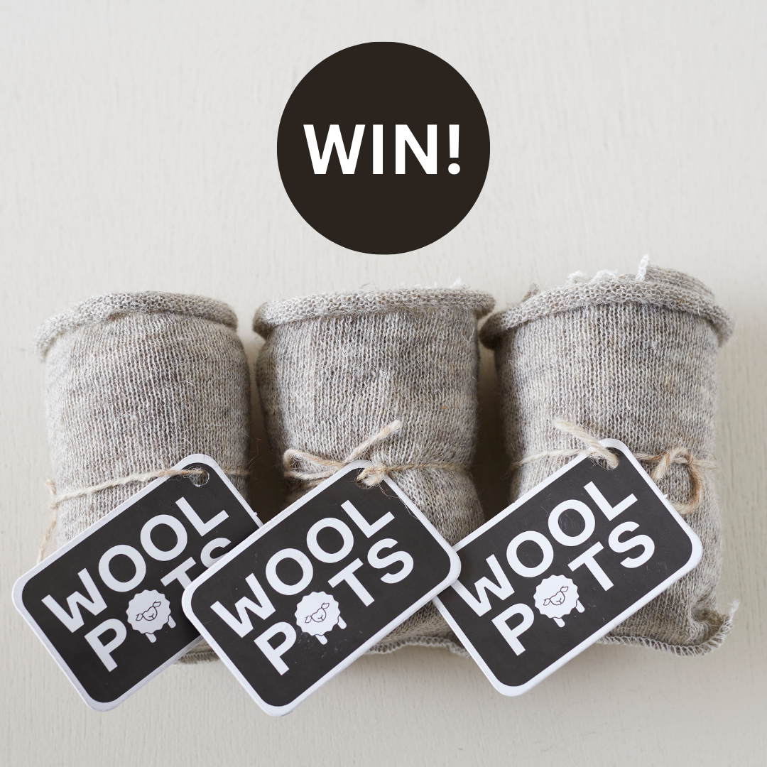 uploads/images/Win! 1