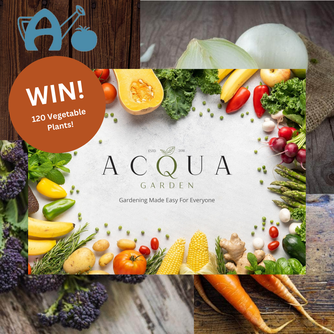 uploads/images/Win! 120 Vegetable Plants!