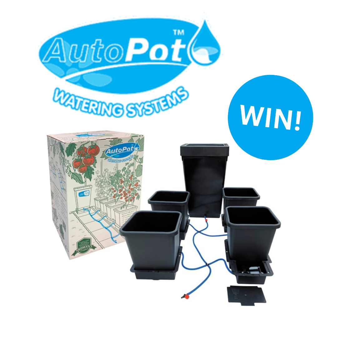 uploads/images/Win! 2