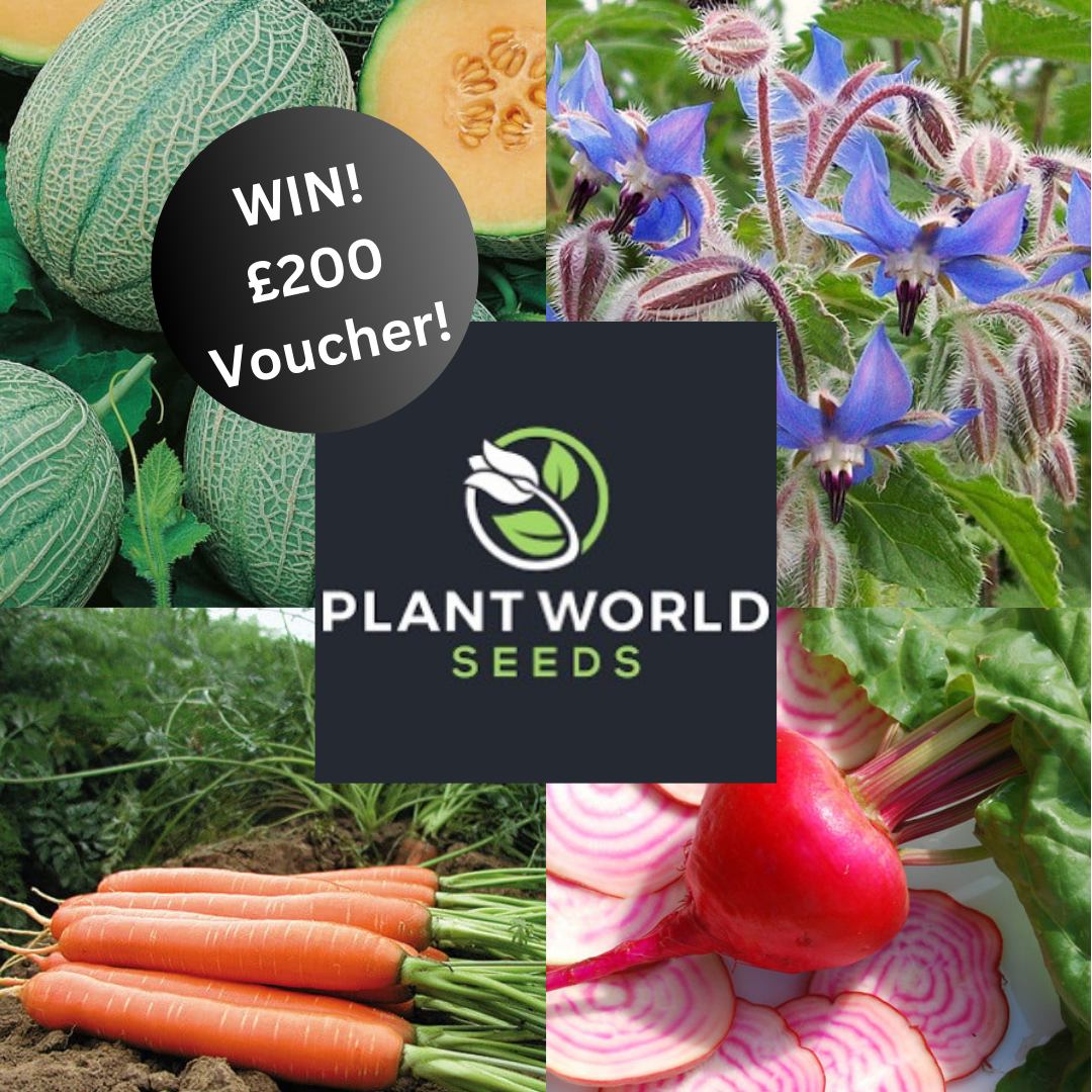 uploads/images/Win! 200 Voucher! 1