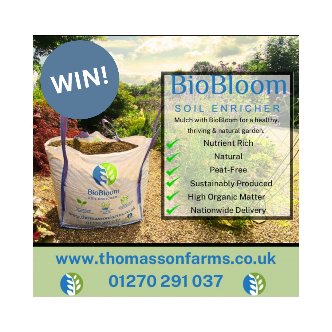 uploads/images/Win! 24