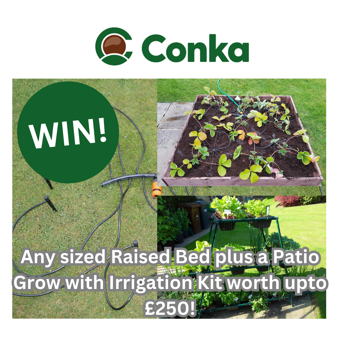 uploads/images/Win! 26