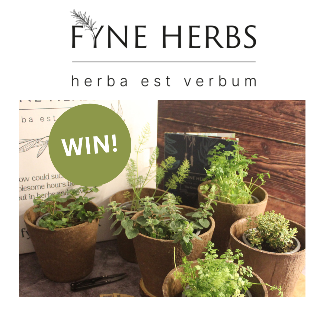 uploads/images/Win! 3