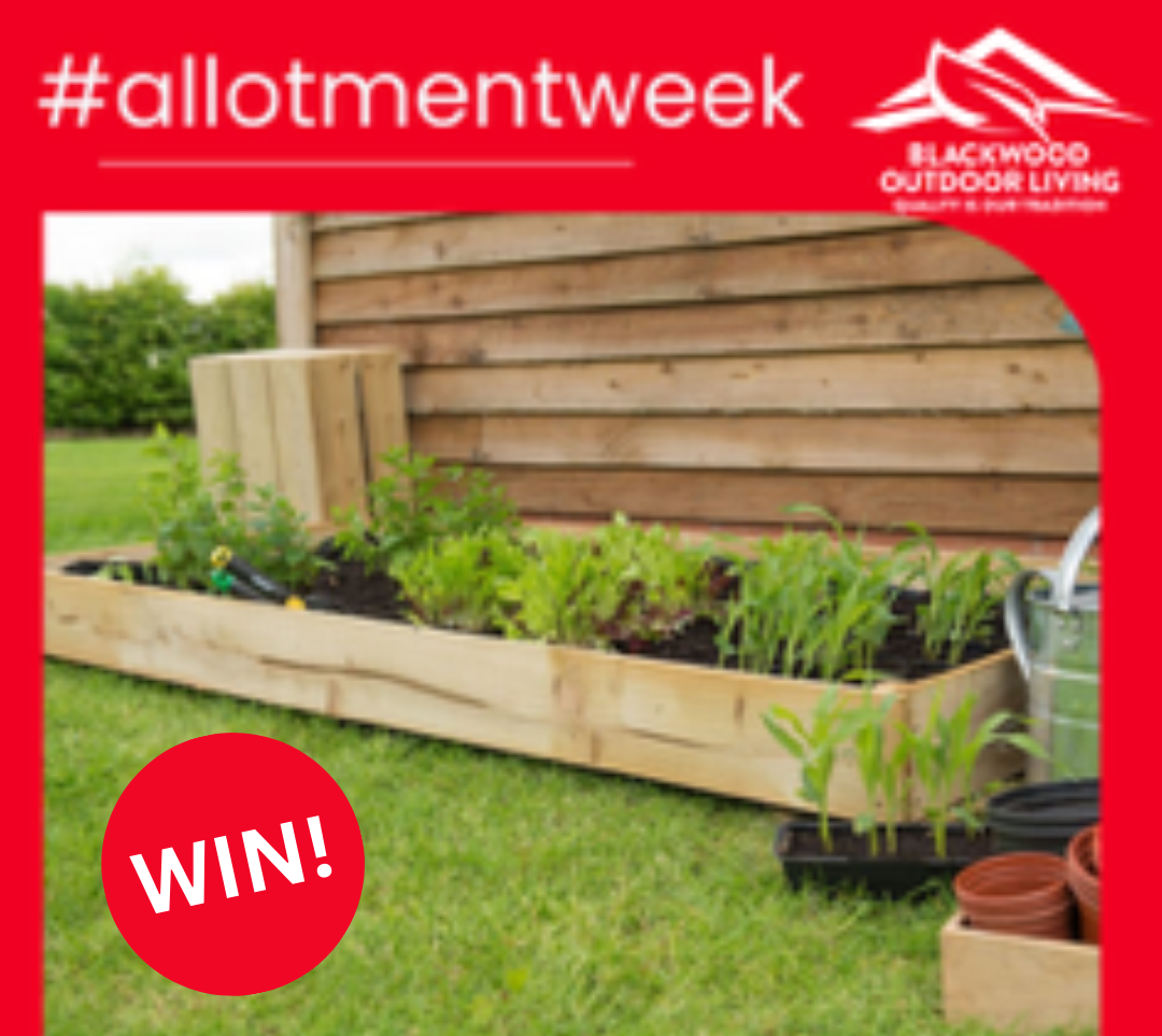 uploads/images/Win! 31