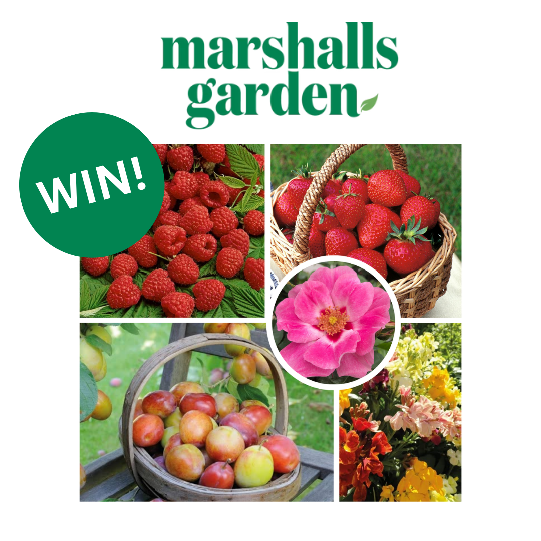 uploads/images/Win! 40 0e71db1e4a3557370120d2db1db02b03