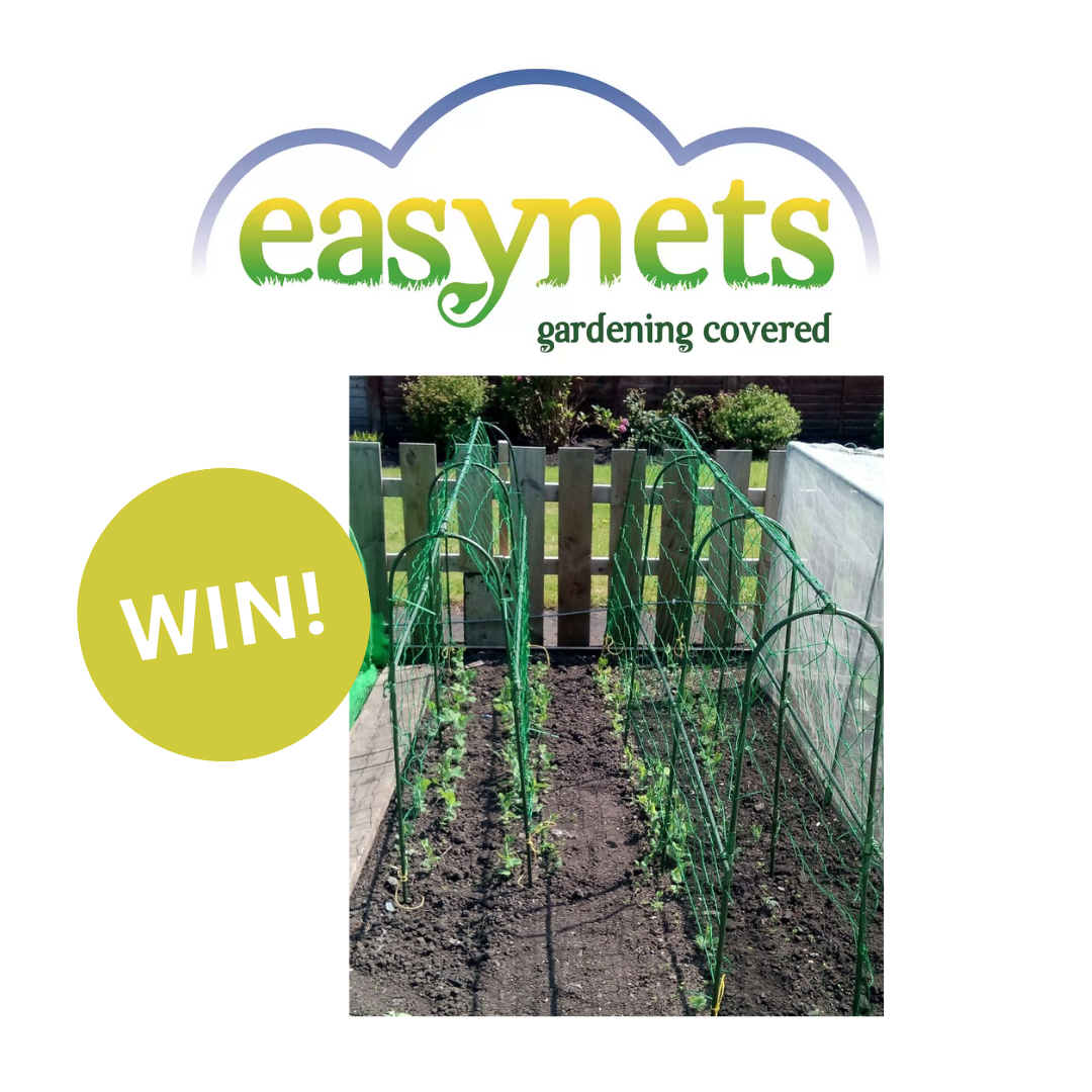 uploads/images/Win! 5