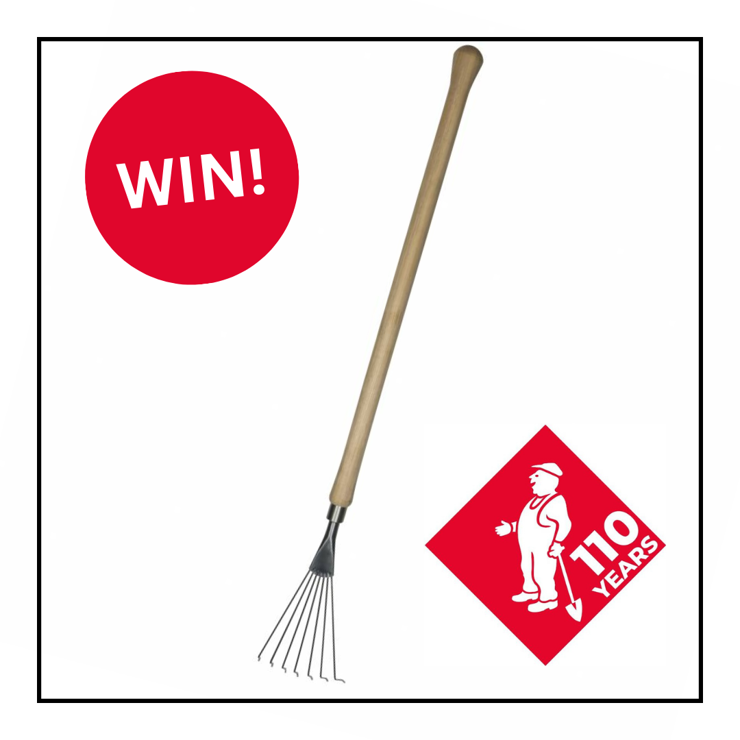 uploads/images/Win! A007d6577b916e38800cc6eaa2def1f0