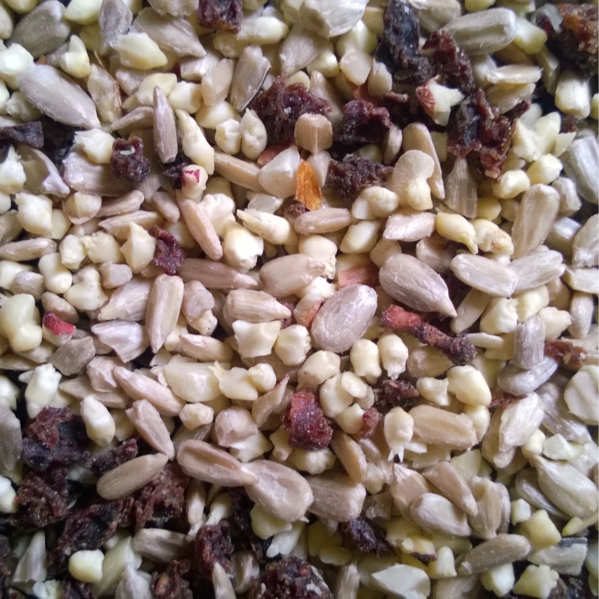 uploads/images/Wp_20190801_003 2