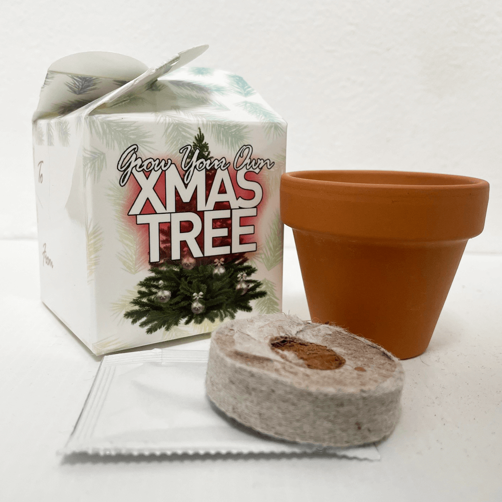 uploads/images/Xmas Tree 1