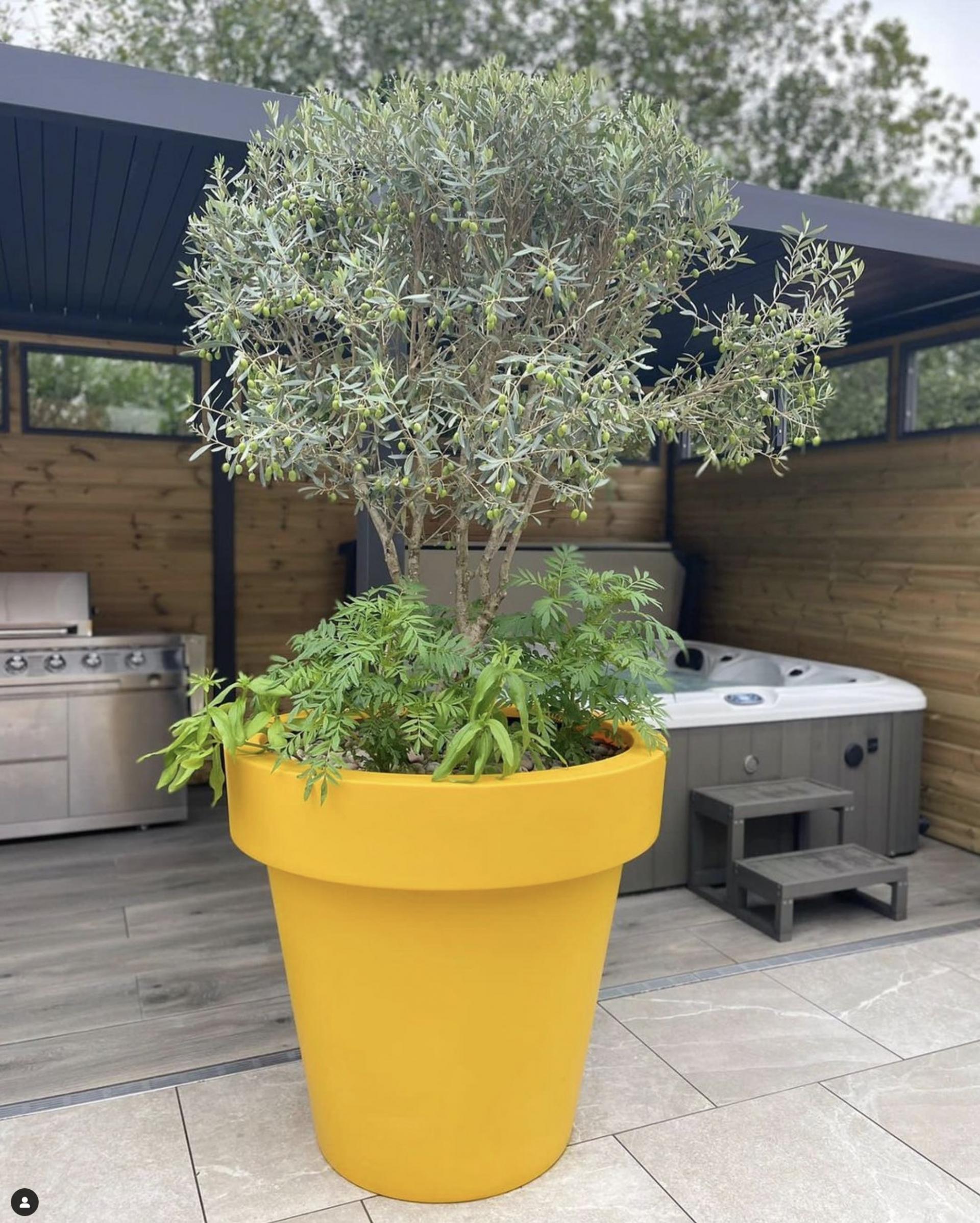 uploads/images/Y Biggie