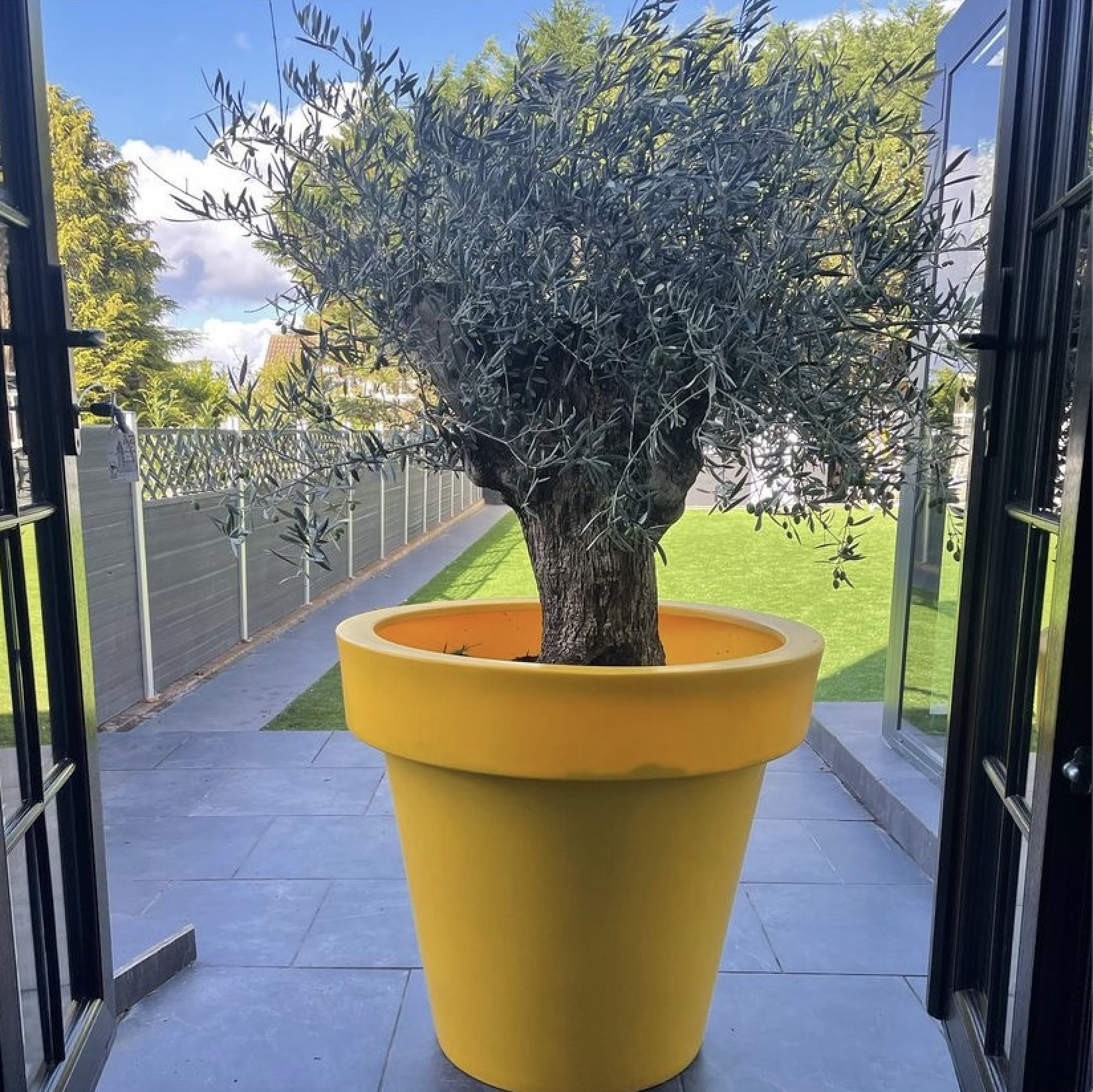 uploads/images/Yellow Biggie